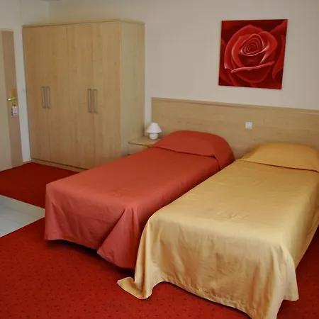 Erasmus Hotel Postojna